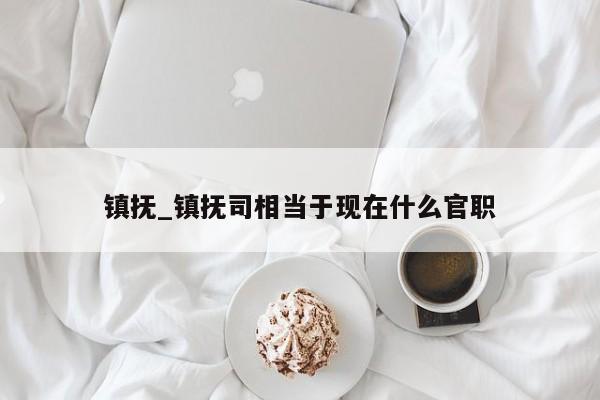 镇抚_镇抚司相当于现在什么官职