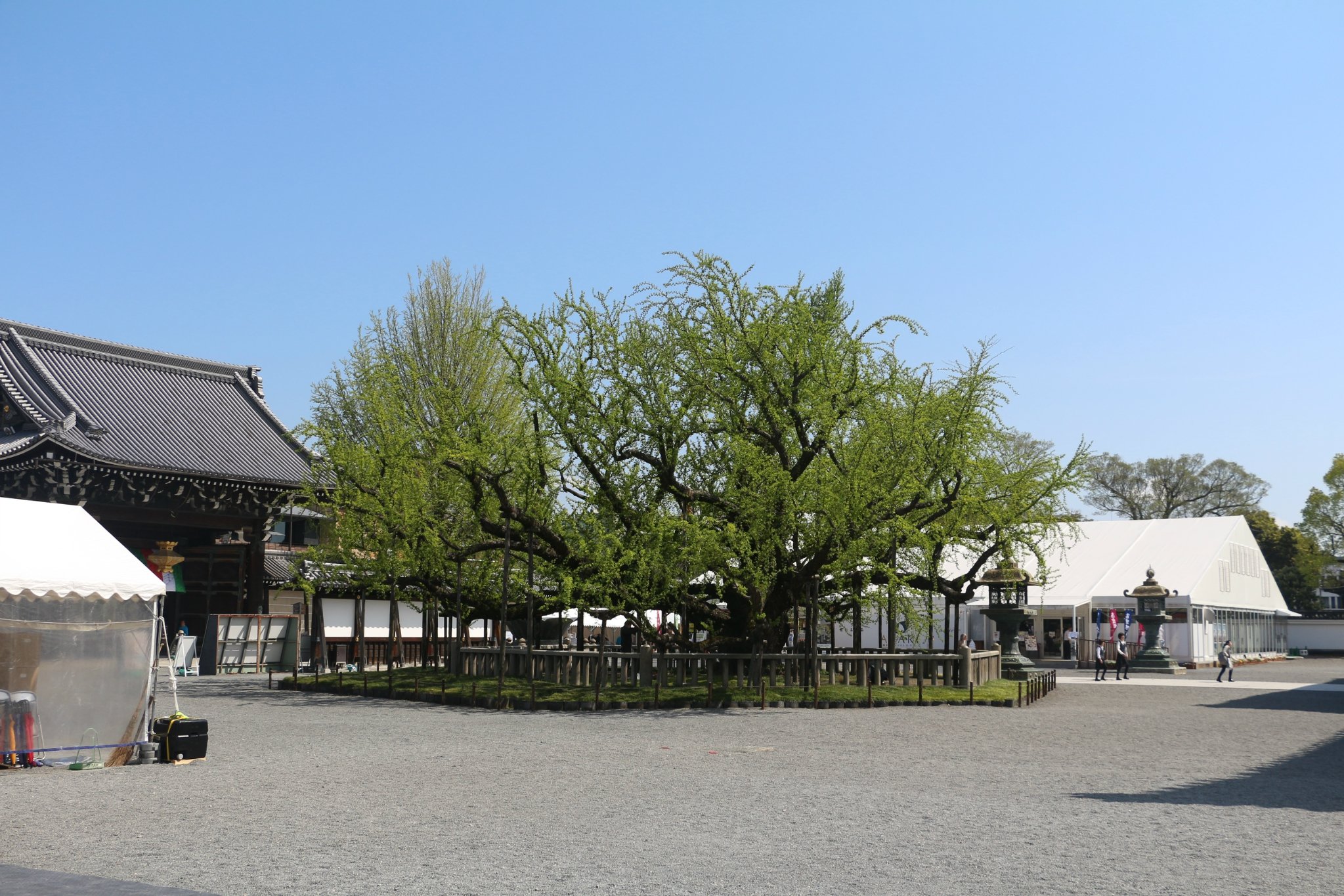 延历(延历寺) 延历(延历寺)