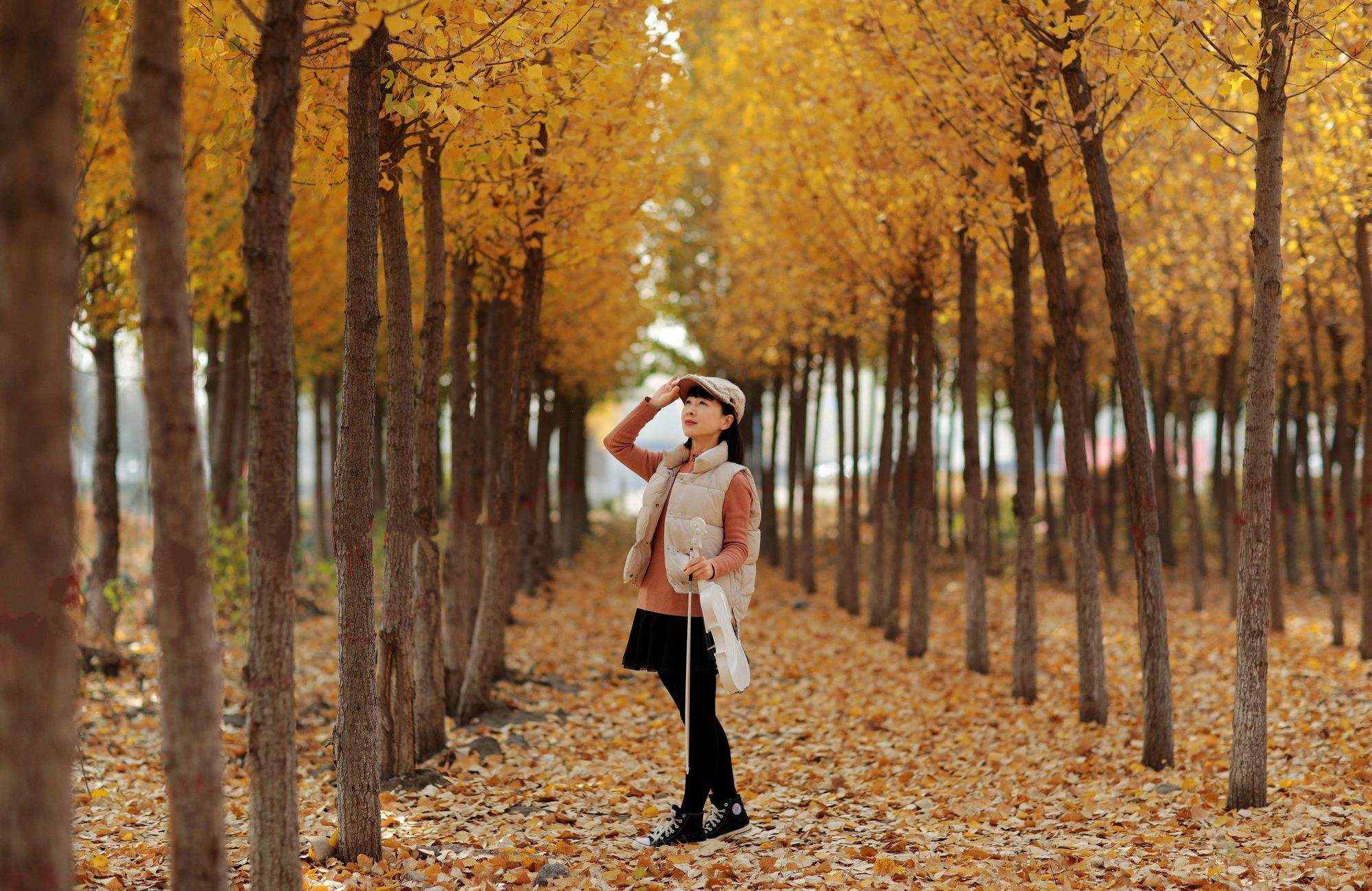 飘零的意思(身世飘零的意思)