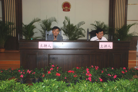 盖然性(盖然性因果关系)