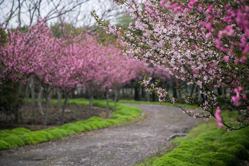 奤夿怎么读(奤夿怎么读语音) 奤夿怎么读(奤夿怎么读语音)