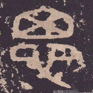 囟字组词(囟字组词和拼音)