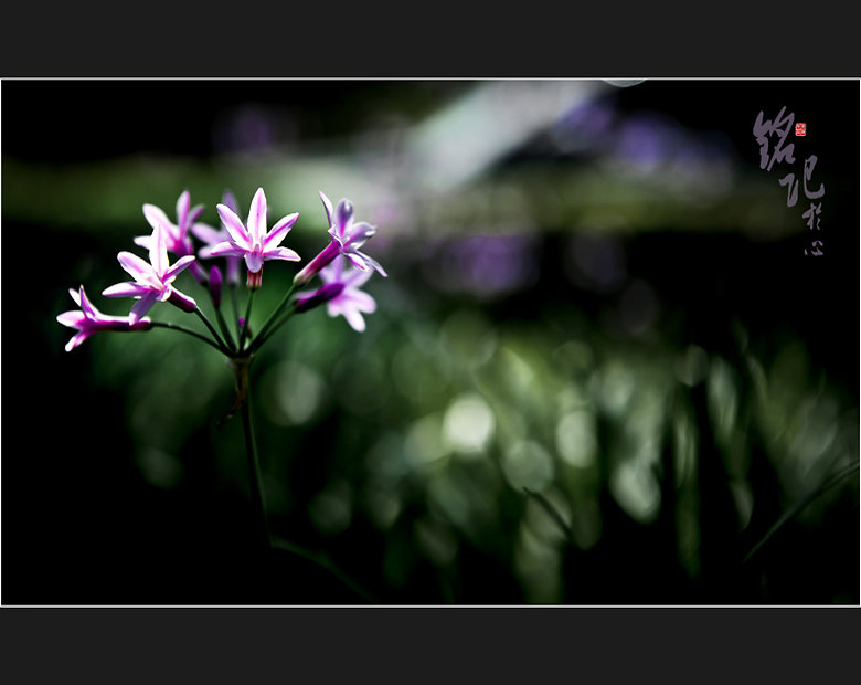 铭记于心(铭记于心,感恩于怀) 铭记于心(铭记于心,感恩于怀)