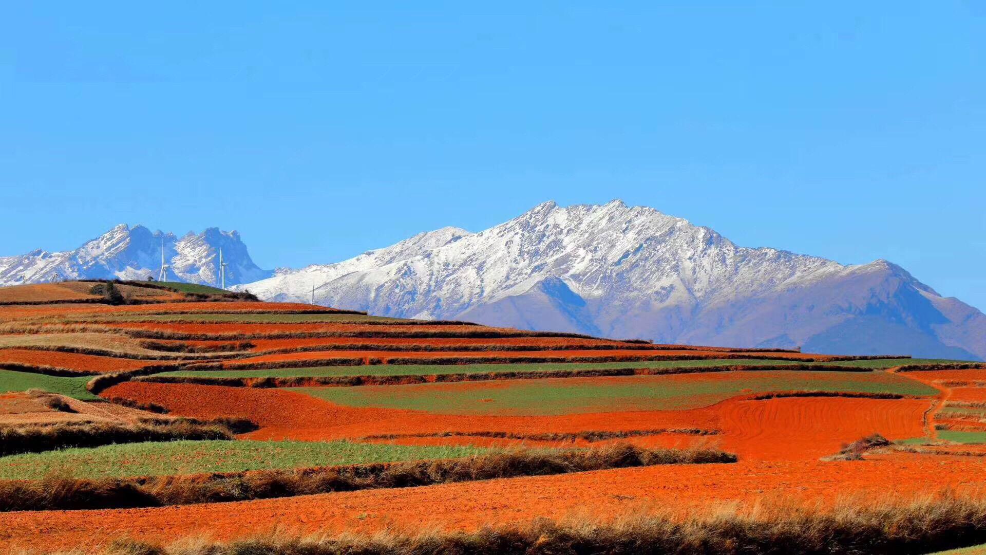 铭记于心(铭记于心,感恩于怀) 铭记于心(铭记于心,感恩于怀)
