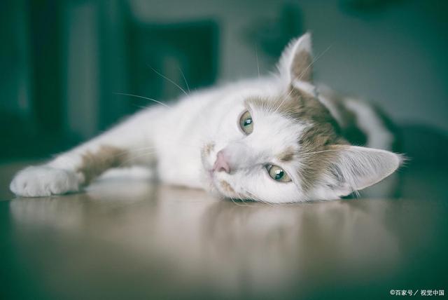 于心不安的意思(于心不安的意思?) 于心不安的意思(于心不安的意思?)