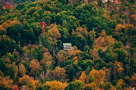 耸的笔顺(耸的笔顺拼音) 耸的笔顺(耸的笔顺拼音)