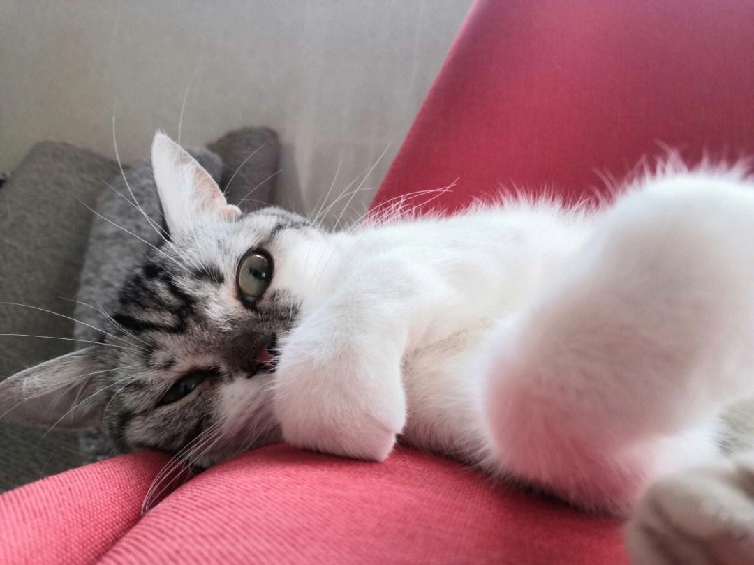 呜(呜咽的拼音) 呜(呜咽的拼音)