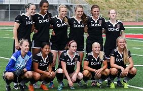 rsl(rsl羽毛球拍是什么品牌) rsl(rsl羽毛球拍是什么品牌)