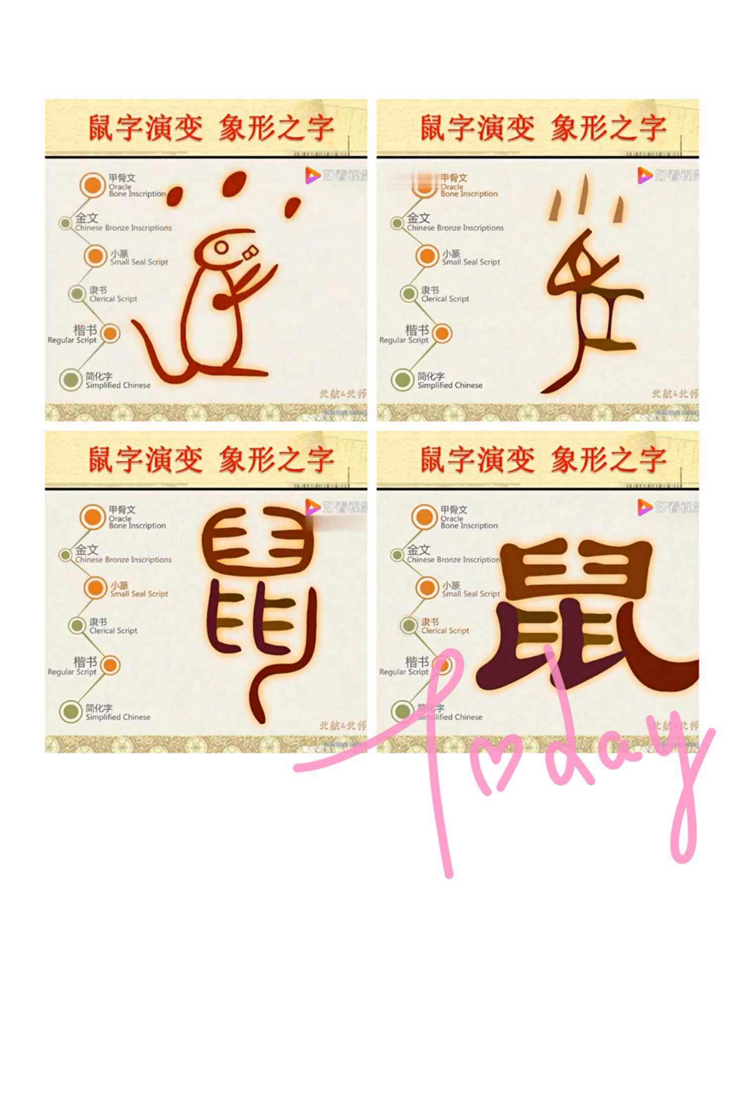 鼠字笔顺(鼠字笔顺笔画) 鼠字笔顺(鼠字笔顺笔画)