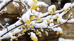 蜡的笔顺(蜡的笔顺笔画顺序) 蜡的笔顺(蜡的笔顺笔画顺序)