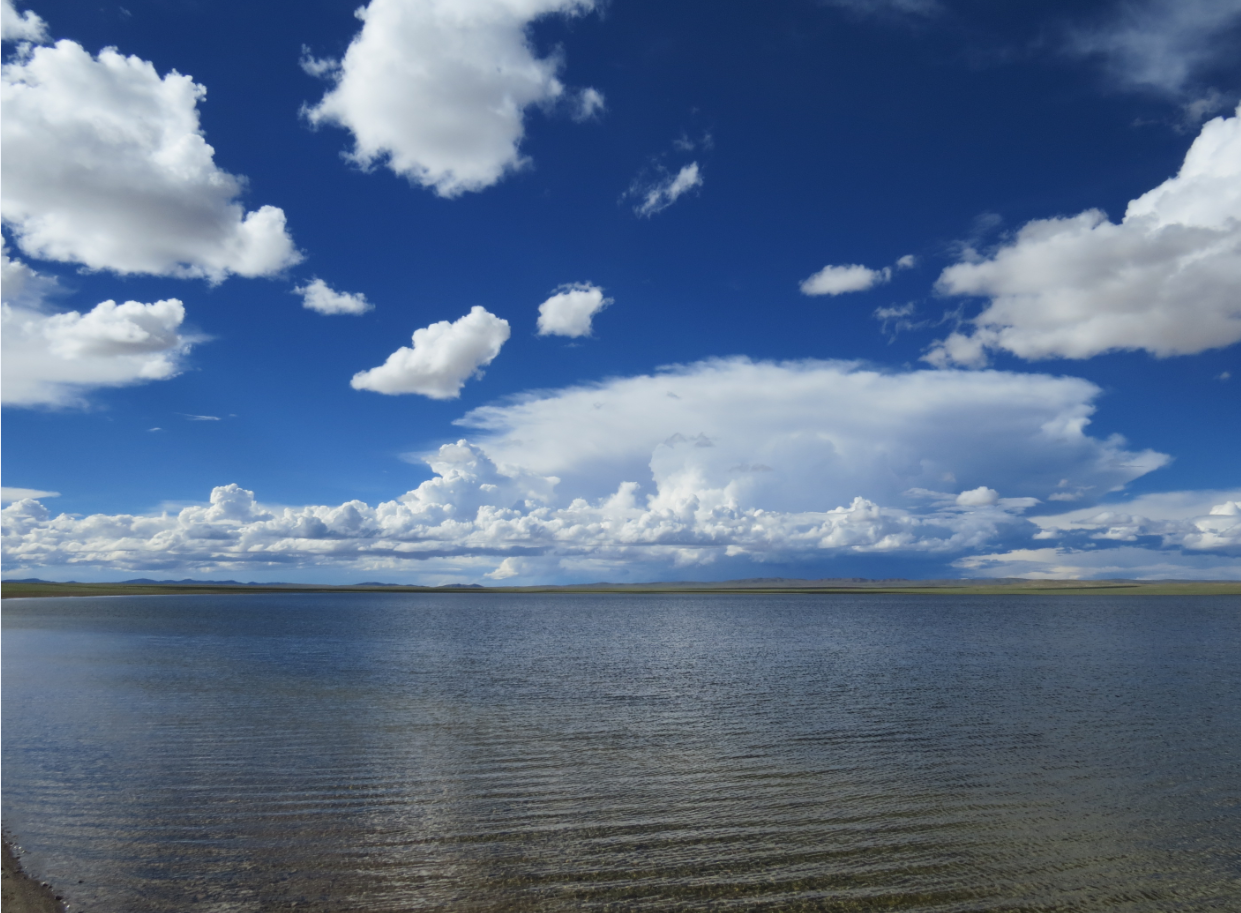 傻怎么读(傻怎么读拼音怎么写) 傻怎么读(傻怎么读拼音怎么写)