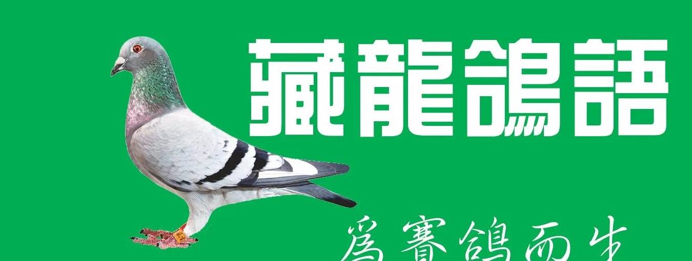 关于汰怎么读的信息