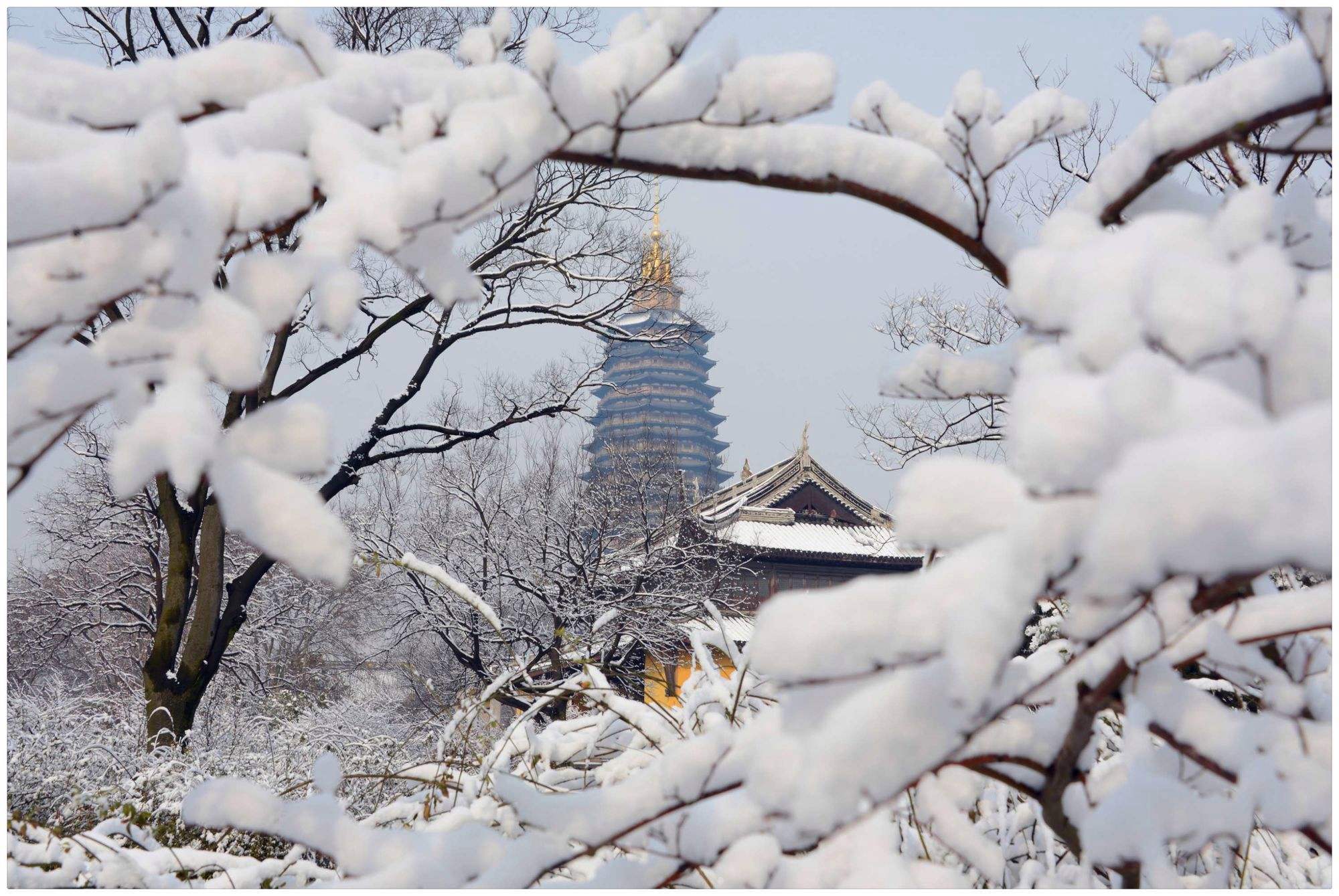 絮乱(絮乱和紊乱的区别) 絮乱(絮乱和紊乱的区别)