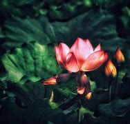 话不多(话不多说的另一种说法)