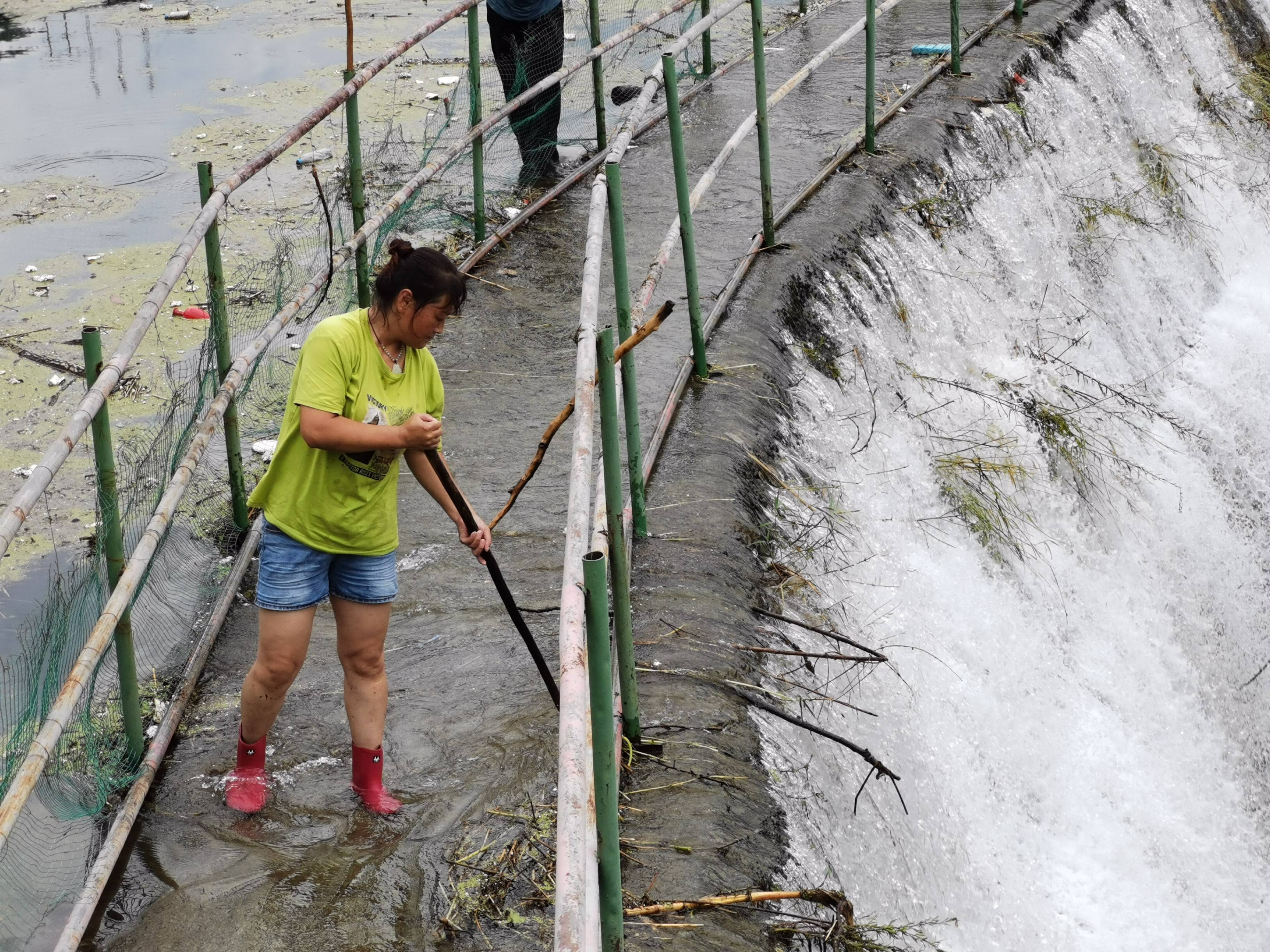 空当(空当接龙王) 空当(空当接龙王)