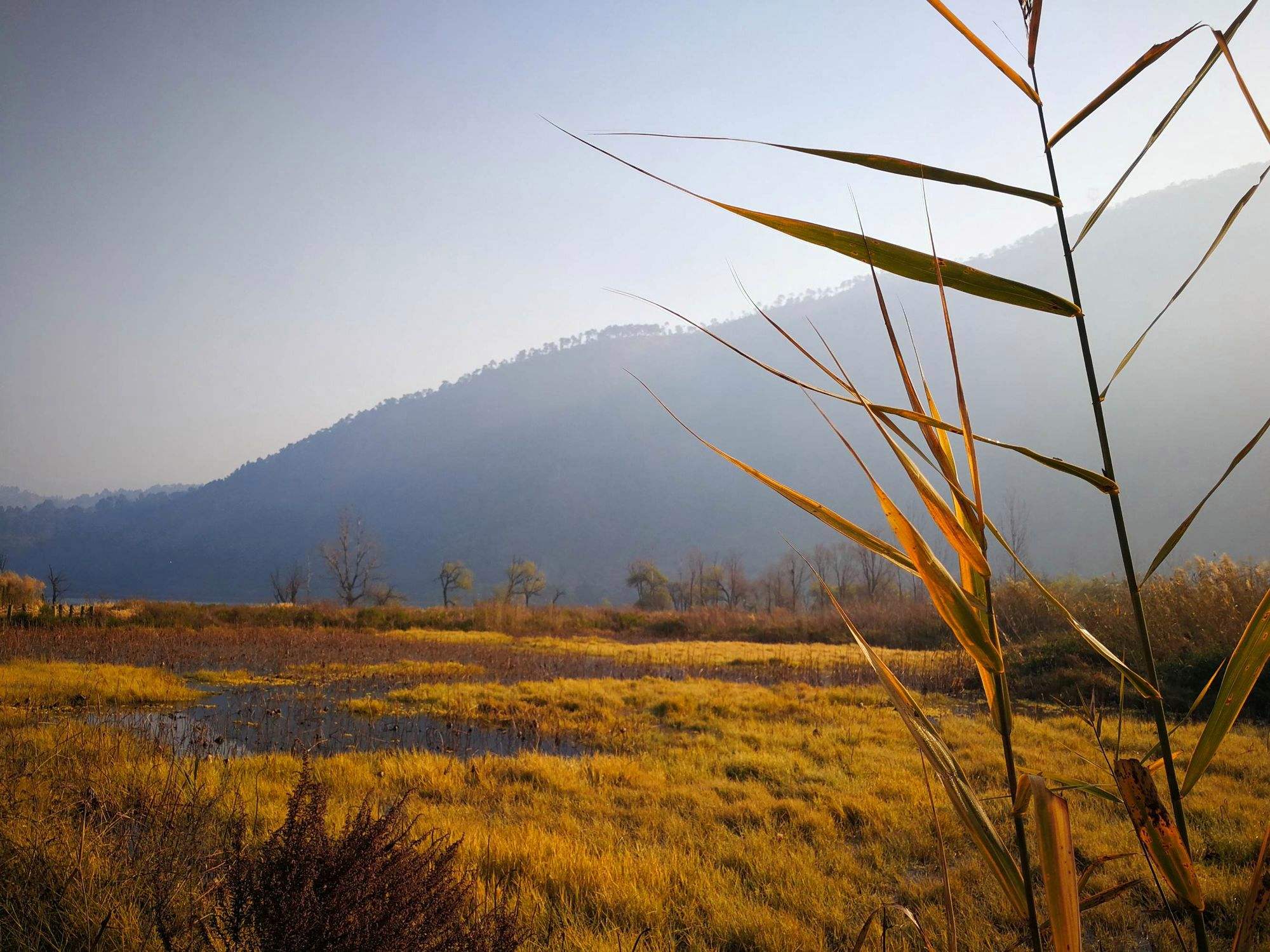 景色宜人(景色宜人下一句怎么接) 景色宜人(景色宜人下一句怎么接)