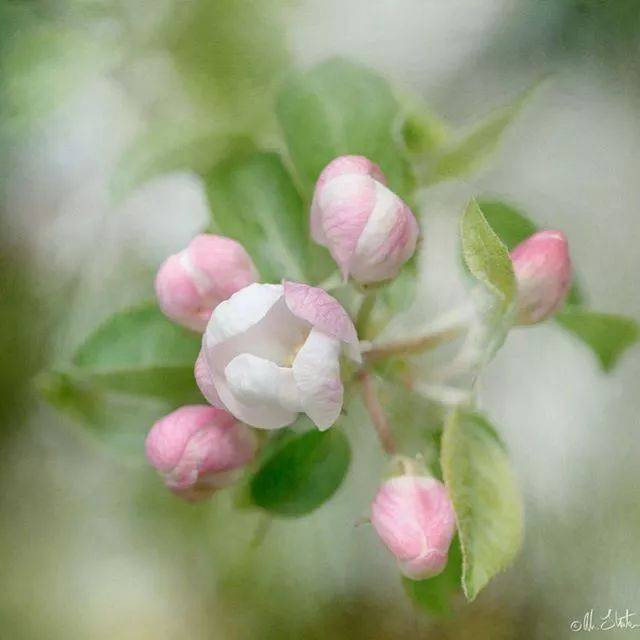 心急火燎的拼音(心急火燎的拼音怎么拼)