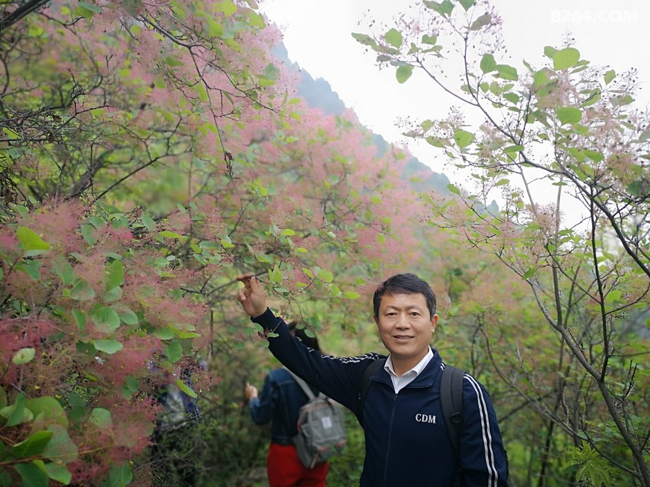 挂记(挂记的近义词)