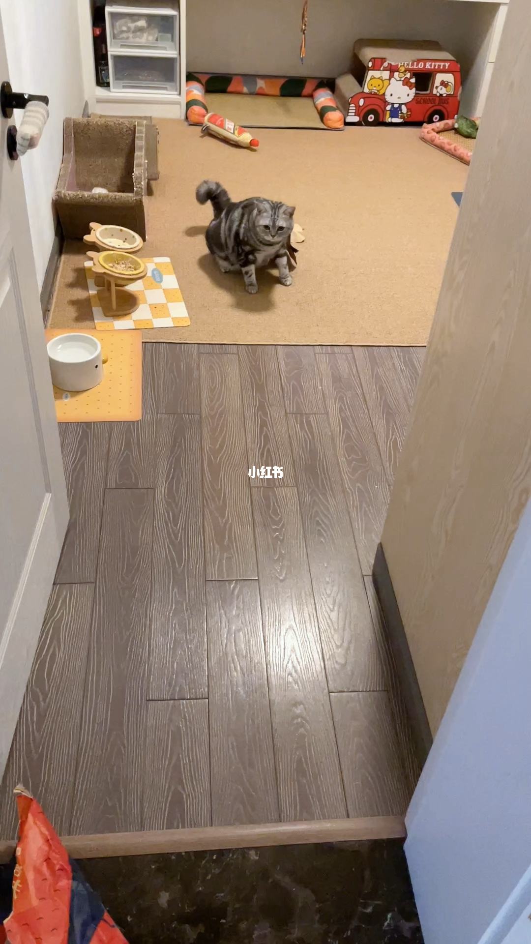 蠢事(蠢事做绝,本宫也帮不了你 表情包)