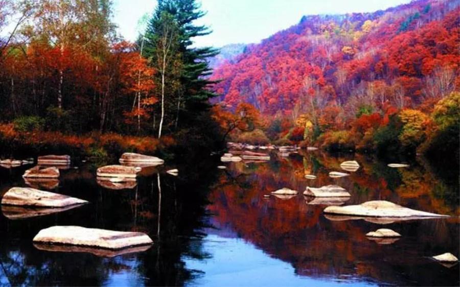 坦荡如砥的拼音(坦荡如砥的拼音和意思造句) 坦荡如砥的拼音(坦荡如砥的拼音和意思造句)