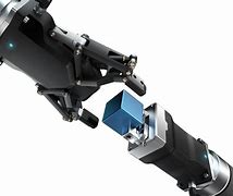 大寰(大寰螽的叫声)