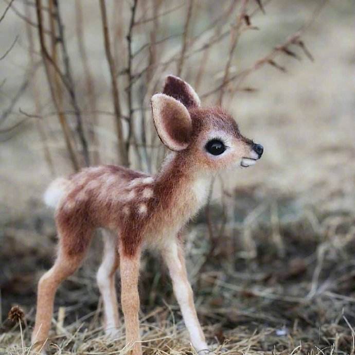 小鹿的鹿怎么写(小鹿的鹿怎么写绿的壁纸吗) 小鹿的鹿怎么写(小鹿的鹿怎么写绿的壁纸吗)