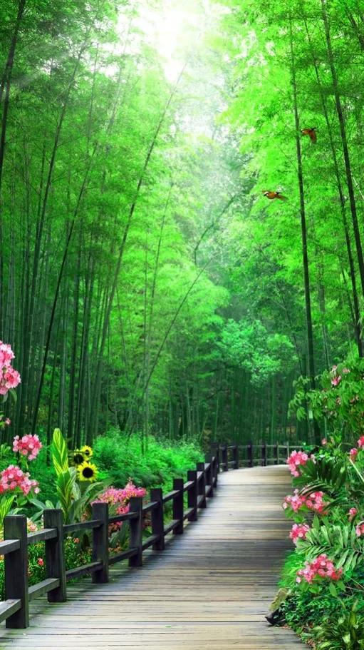 罅隙的拼音(罅的意思和拼音)