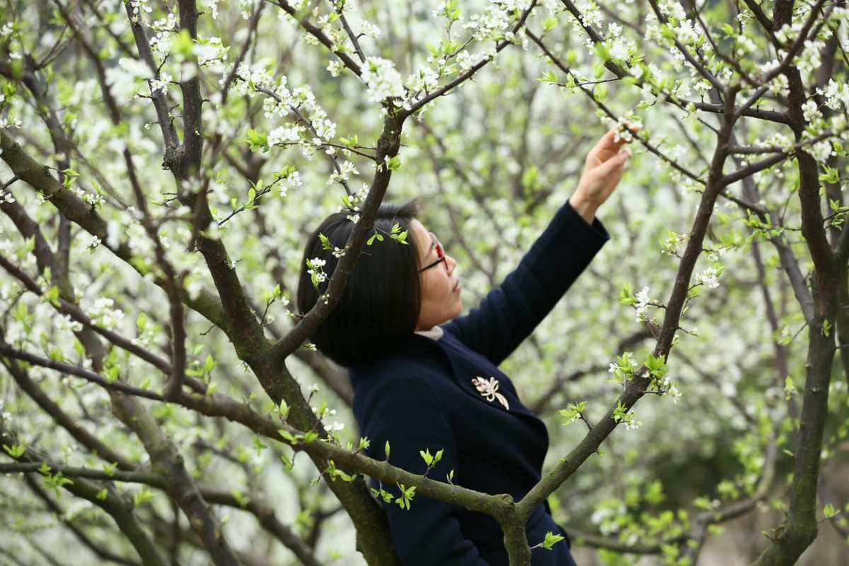 春风送(春风送暖入屠苏)