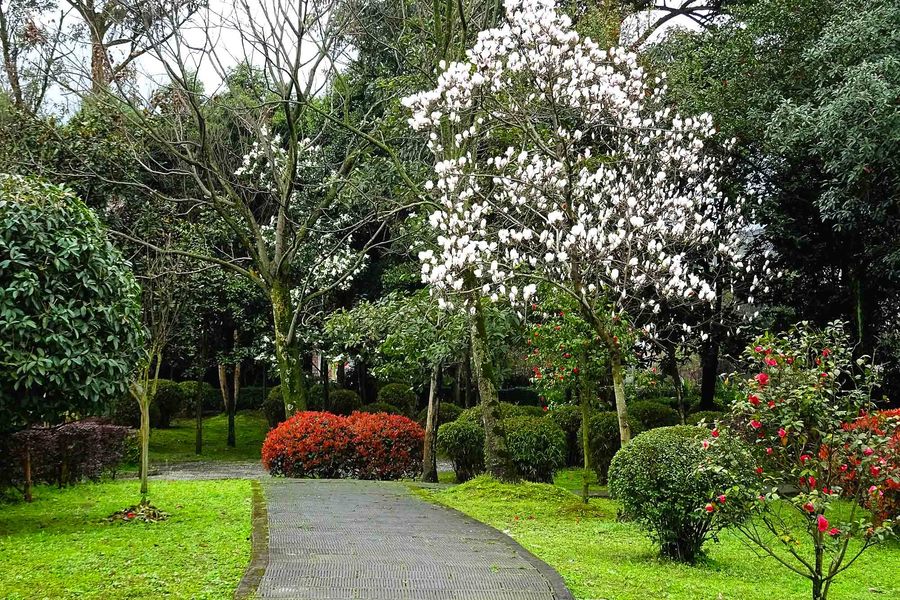 春风送(春风送暖入屠苏)