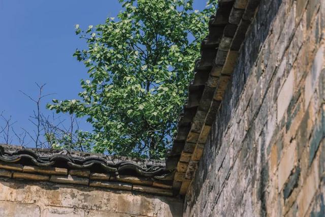 婺怎么读(婺源怎么读)