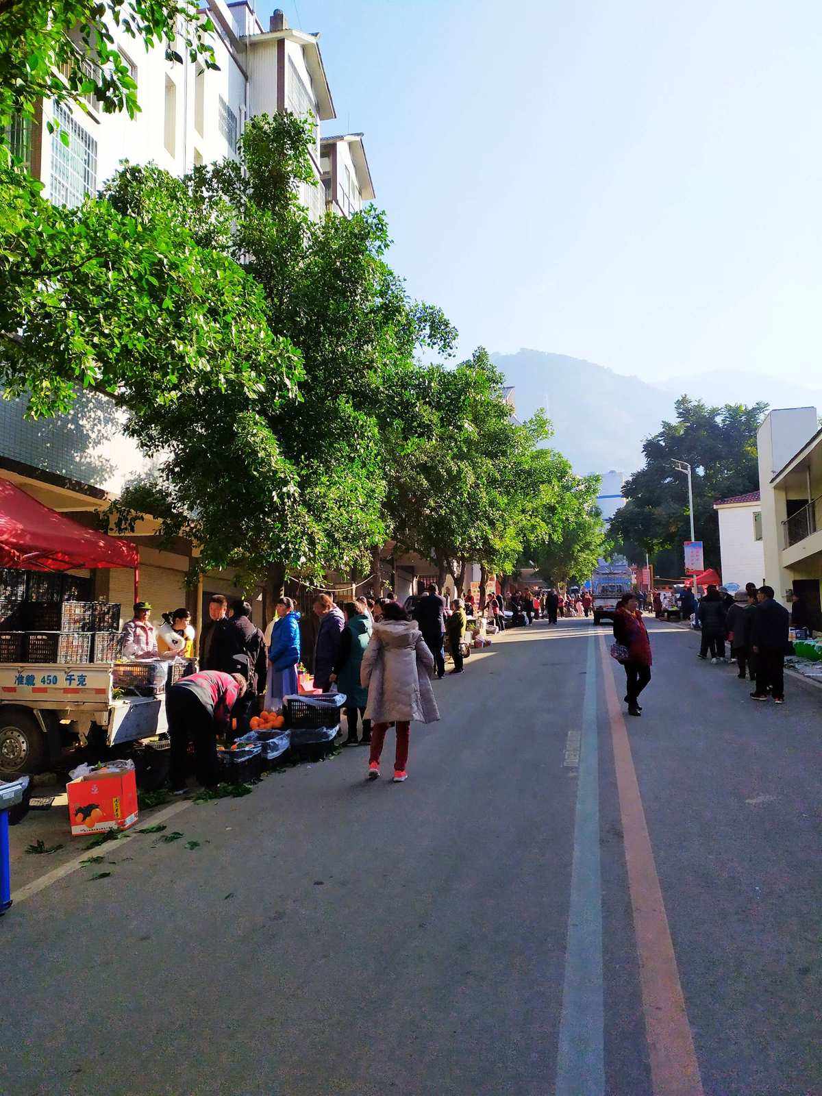 贤家(贤家山牌安吉白茶价格) 贤家(贤家山牌安吉白茶价格)