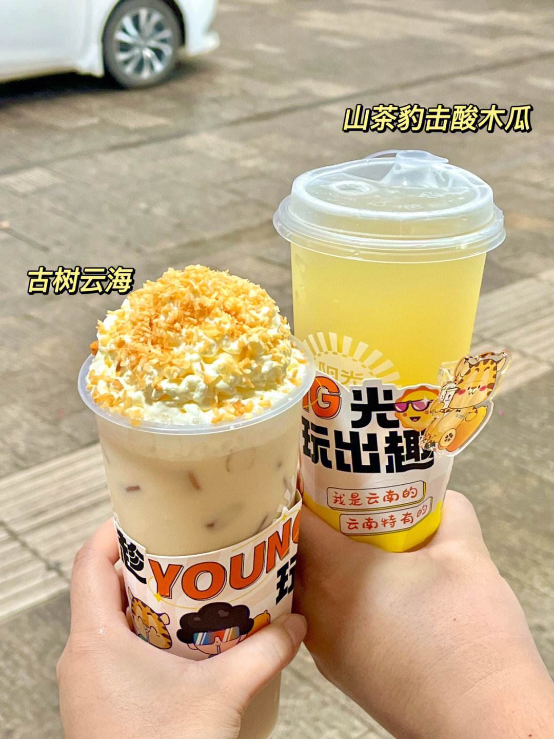 雪顶是什么(雪顶是什么意思)