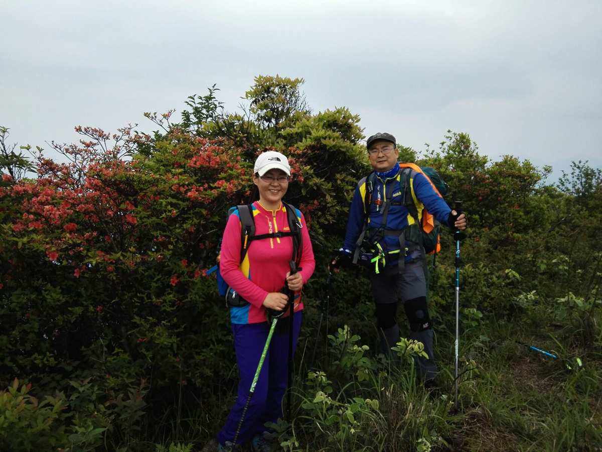 山客(山客是什么意思) 山客(山客是什么意思)