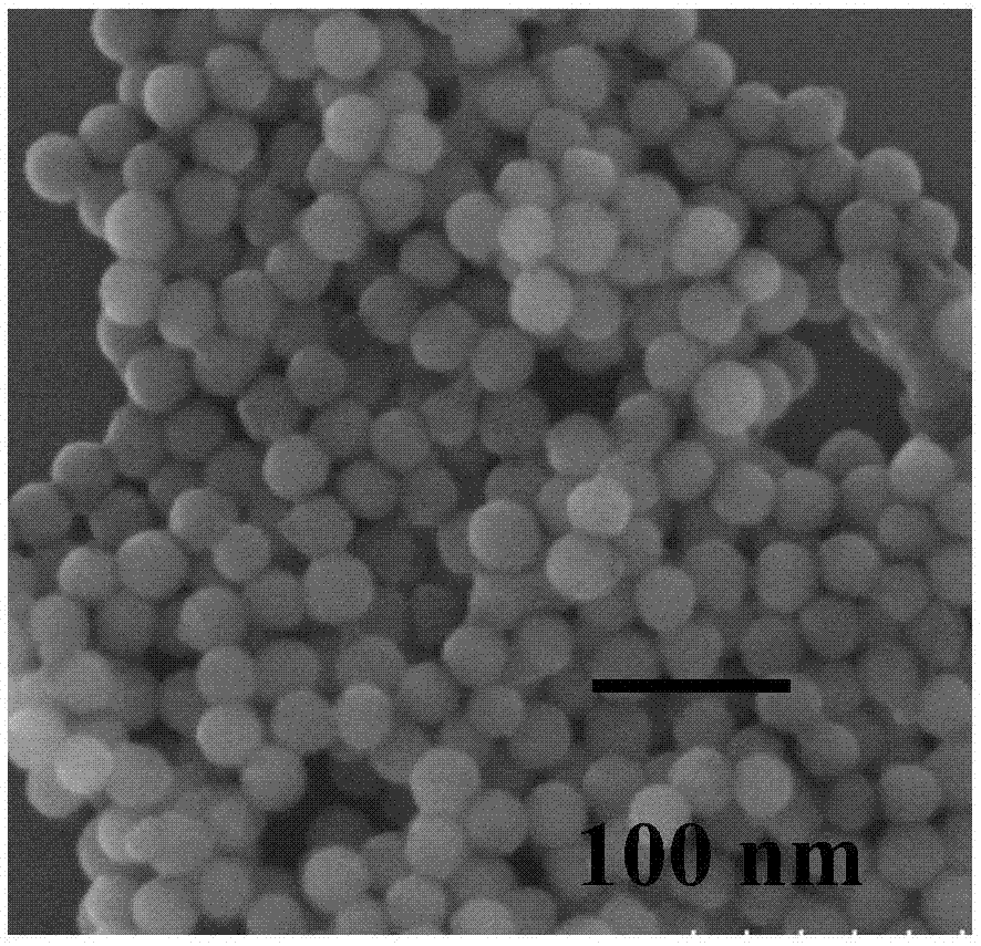 bodipy(bodipy染色) bodipy(bodipy染色)