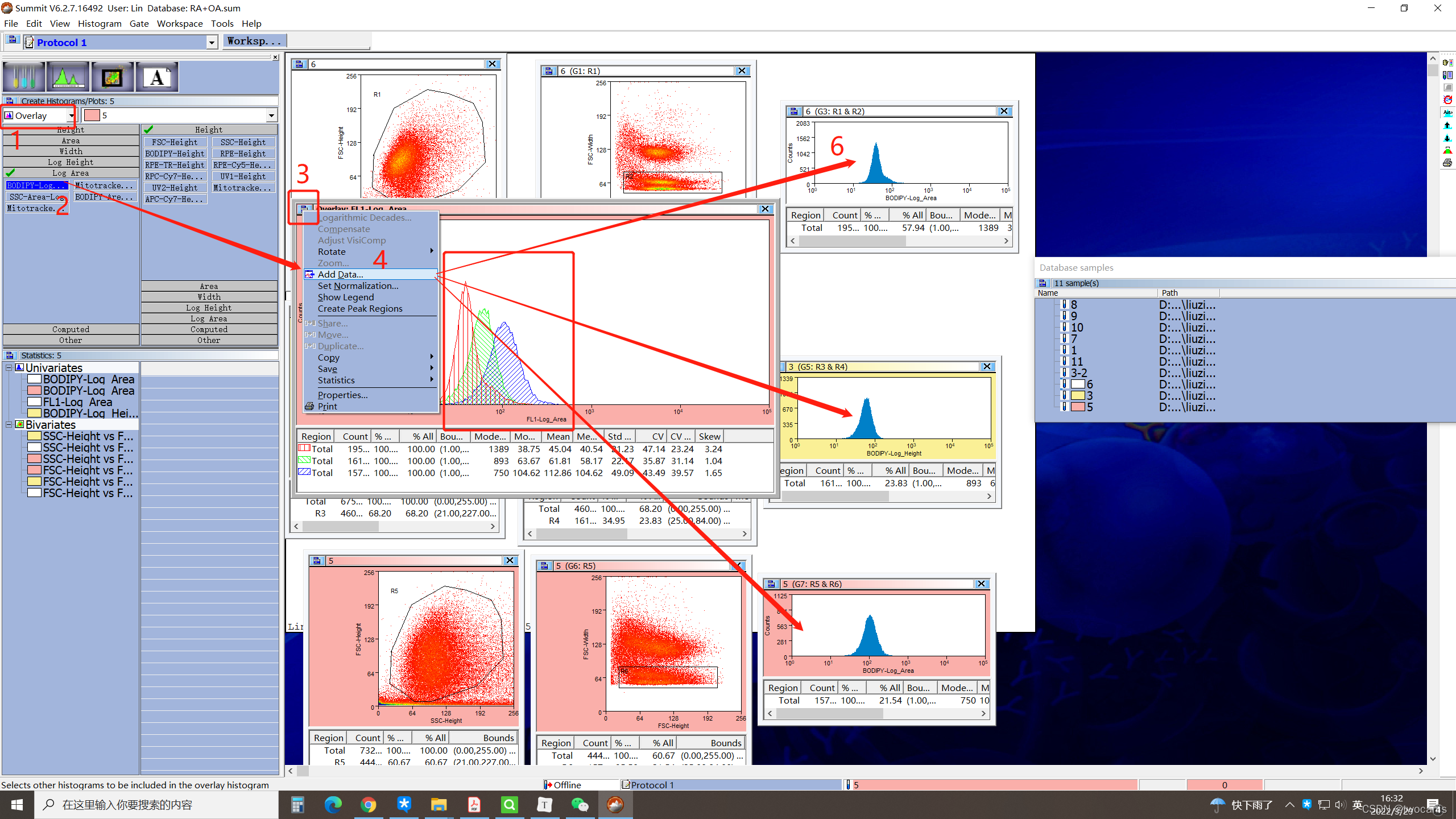 bodipy(bodipy染色) bodipy(bodipy染色)