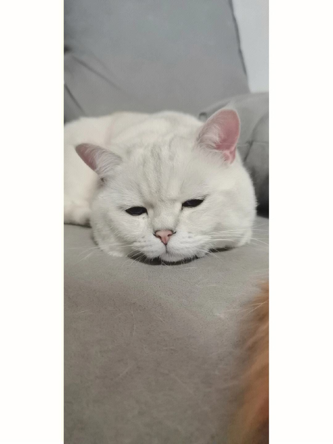 委曲的意思(委曲的意思解释)