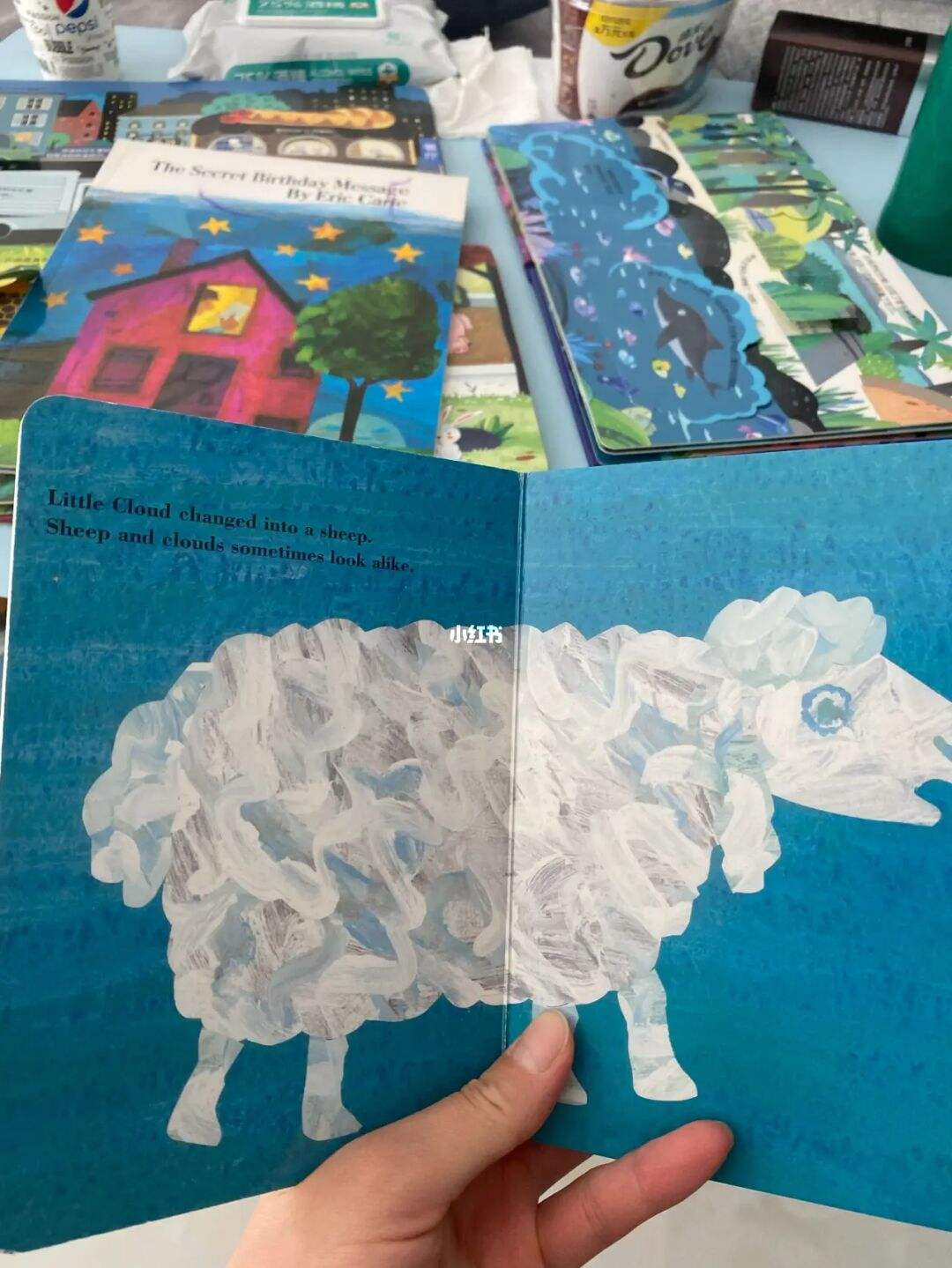 sheep翻译(two sheep翻译)