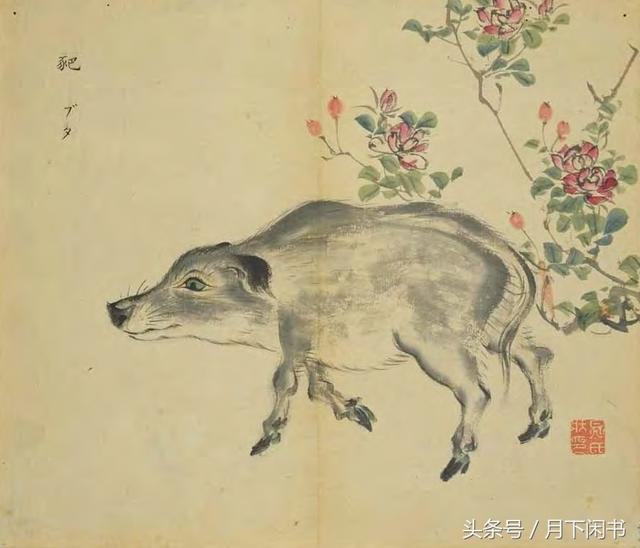 麀鹿怎么读(麀鹿这两个字怎么读) 麀鹿怎么读(麀鹿这两个字怎么读)