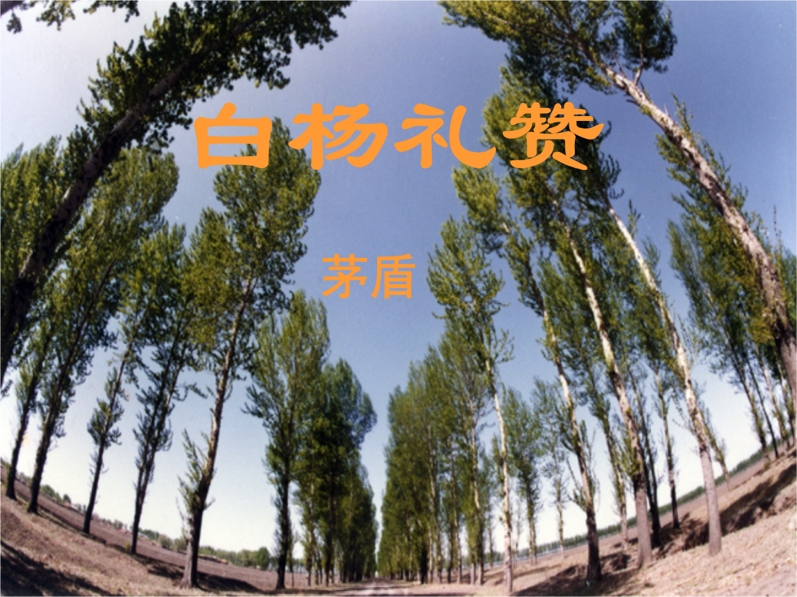 坦荡如砥的拼音(坦荡如砥的拼音造句)