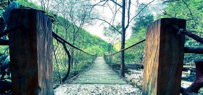 心路是什么意思(心路这首歌是什么意思)