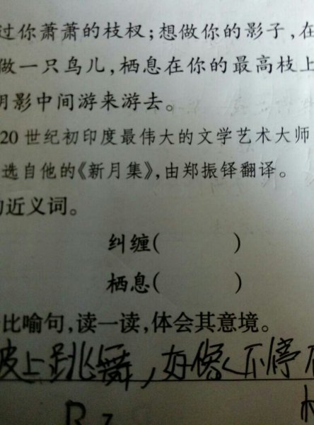 担当的近义词(实干担当的近义词) 担当的近义词(实干担当的近义词)