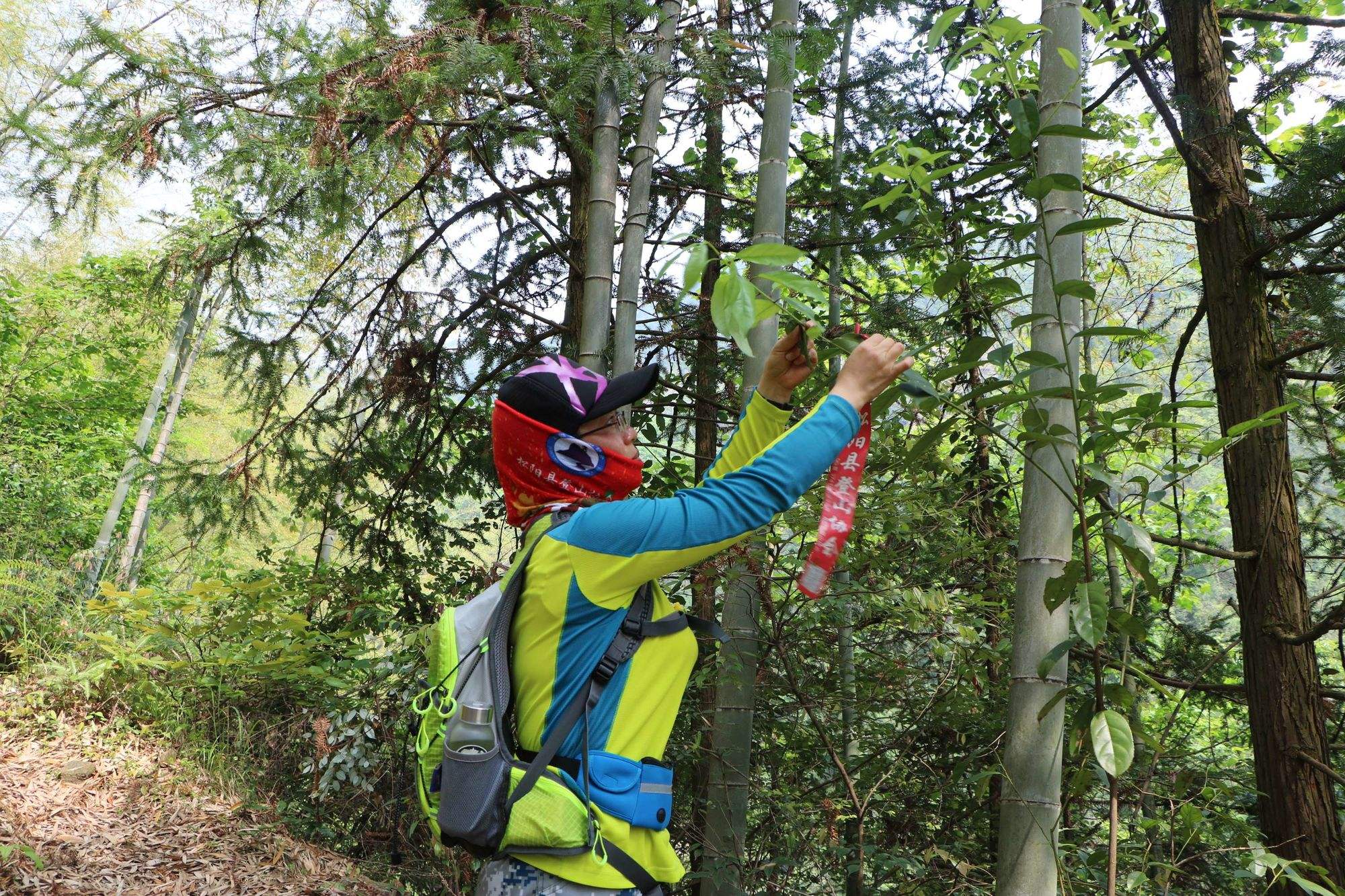 稠人(稠人广坐侍立终日) 稠人(稠人广坐侍立终日)