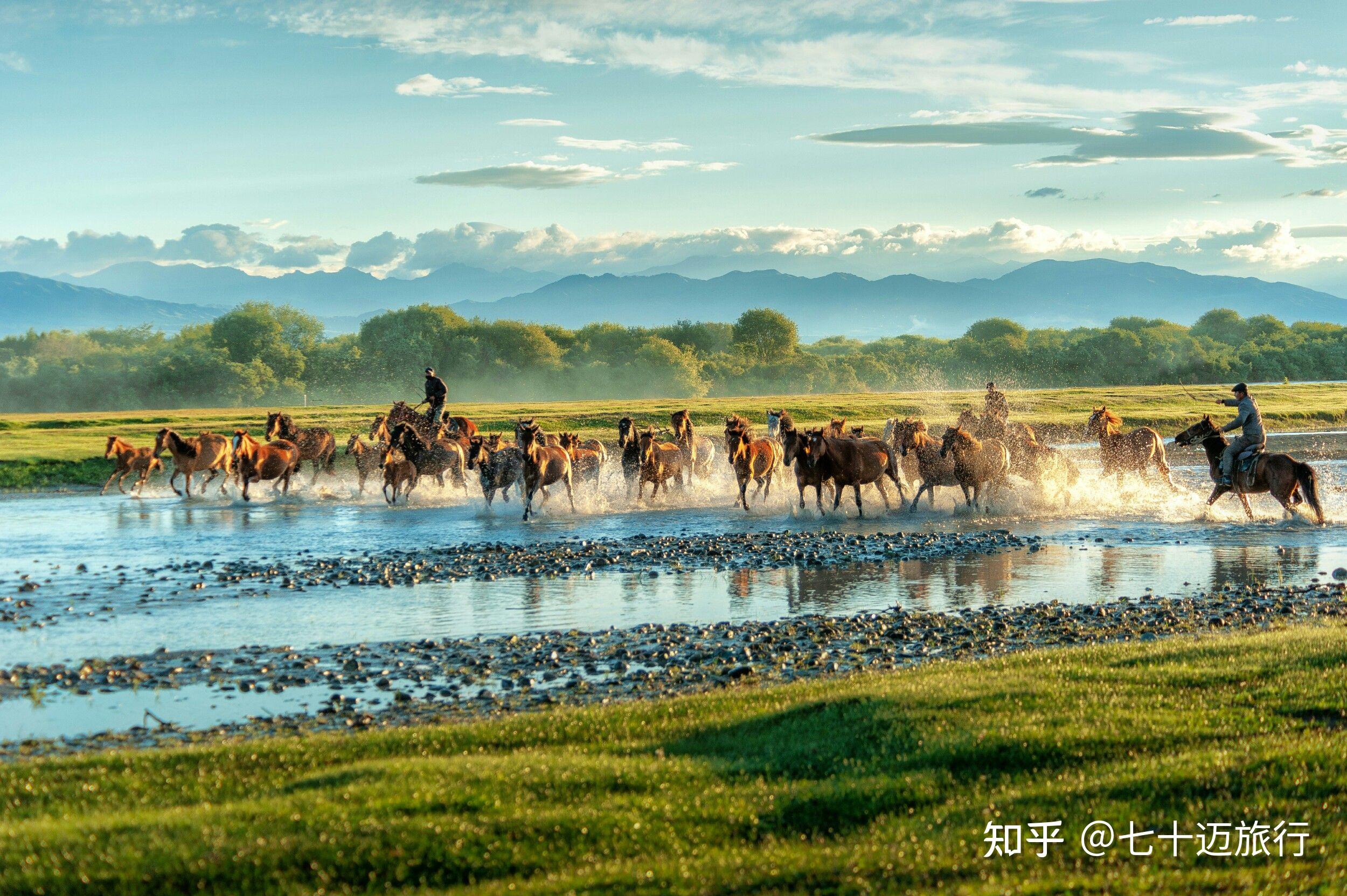饱览是什么意思(饱览是什么意思 百度网盘) 饱览是什么意思(饱览是什么意思 百度网盘)
