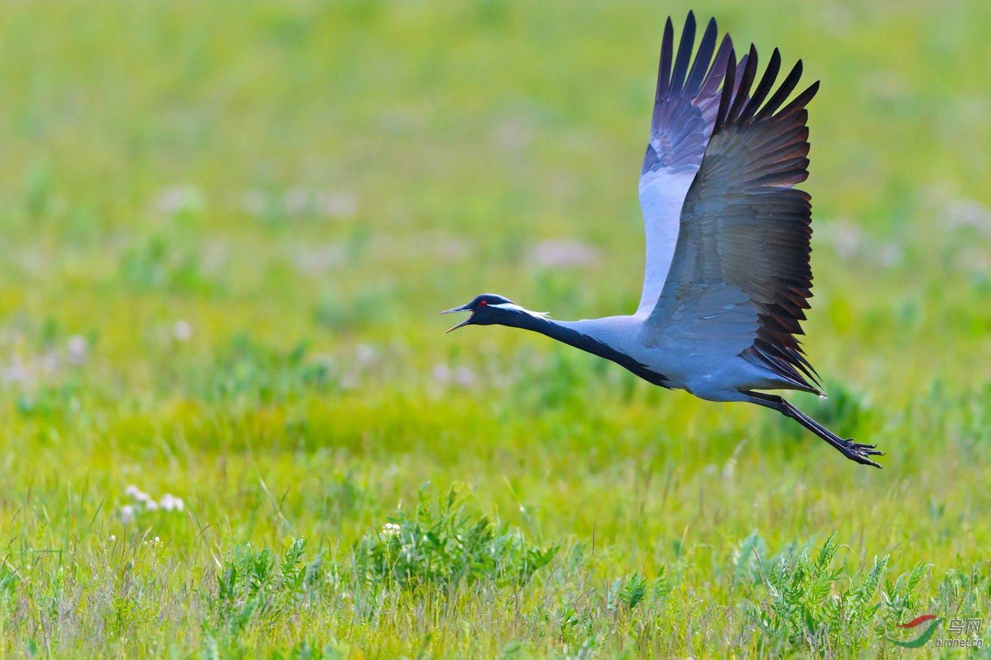 簑(簑衣和蓑衣) 簑(簑衣和蓑衣)