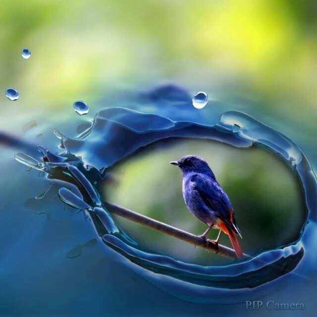 气息的意思(寻找你的气息的意思)