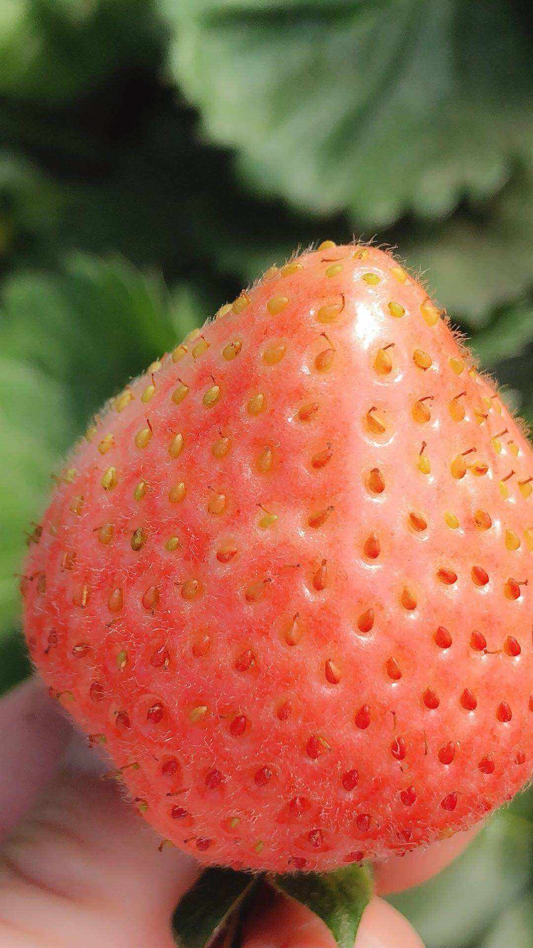 馋涎欲滴(馋涎欲滴的词语解释) 馋涎欲滴(馋涎欲滴的词语解释)