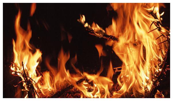 什么的火光(什么的火光三年级) 什么的火光(什么的火光三年级)