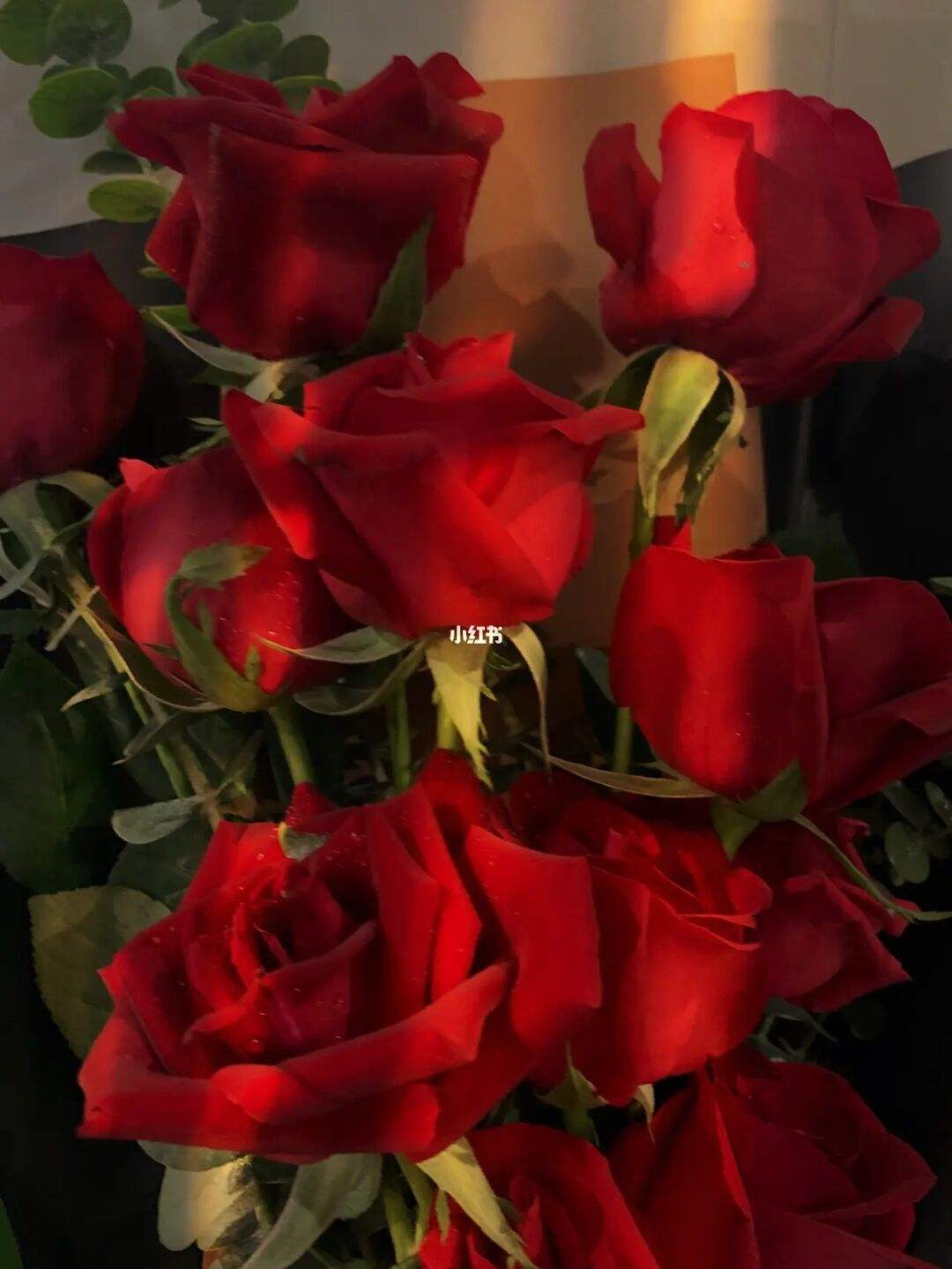 一心一(一心一德) 一心一(一心一德)