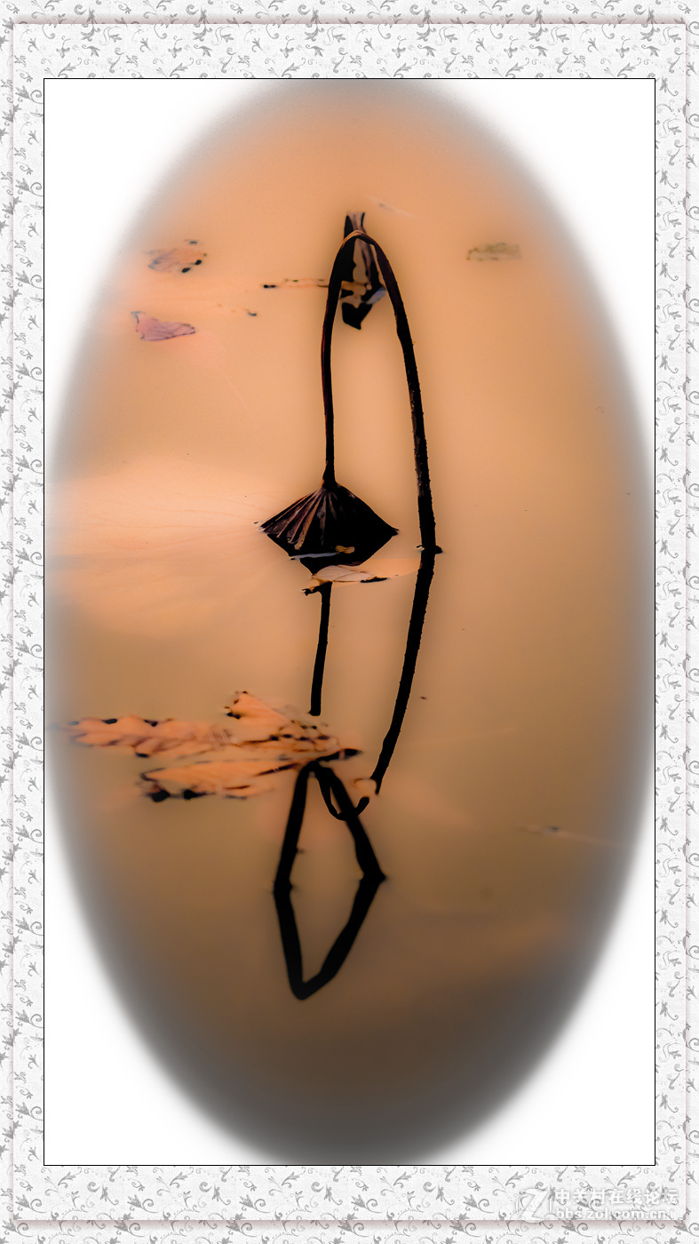 风烛残年(风烛残年指老人多少岁) 风烛残年(风烛残年指老人多少岁)