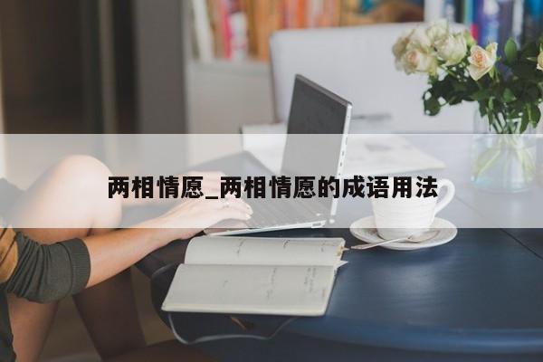 两相情愿_两相情愿的成语用法